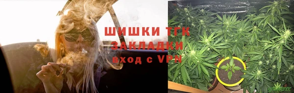 эйфоретик Бородино