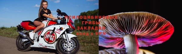 эйфоретик Бородино