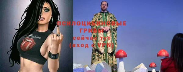 эйфоретик Бородино