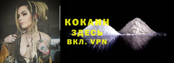 эйфоретик Бородино