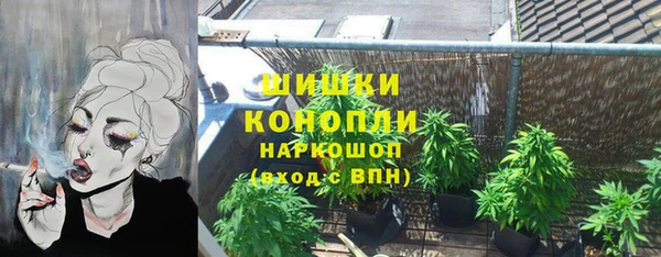 эйфоретик Бородино