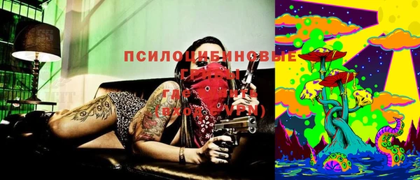 эйфоретик Бородино